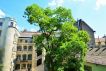 Eladó 120 m2 lakás - Budapest VI.