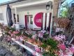 Eladó 200 m2 vendéglátó egység - Szentendre